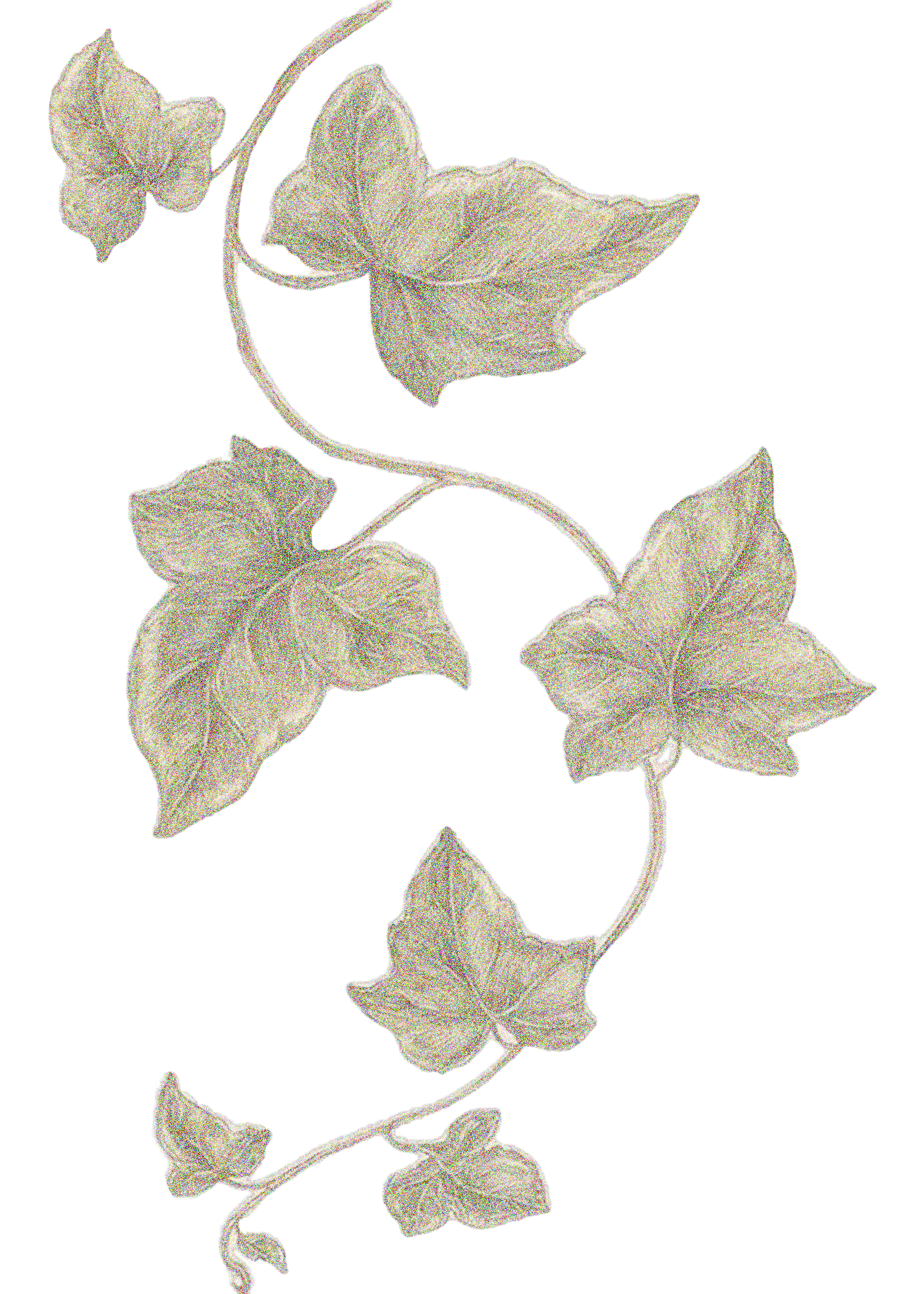 Top decoration