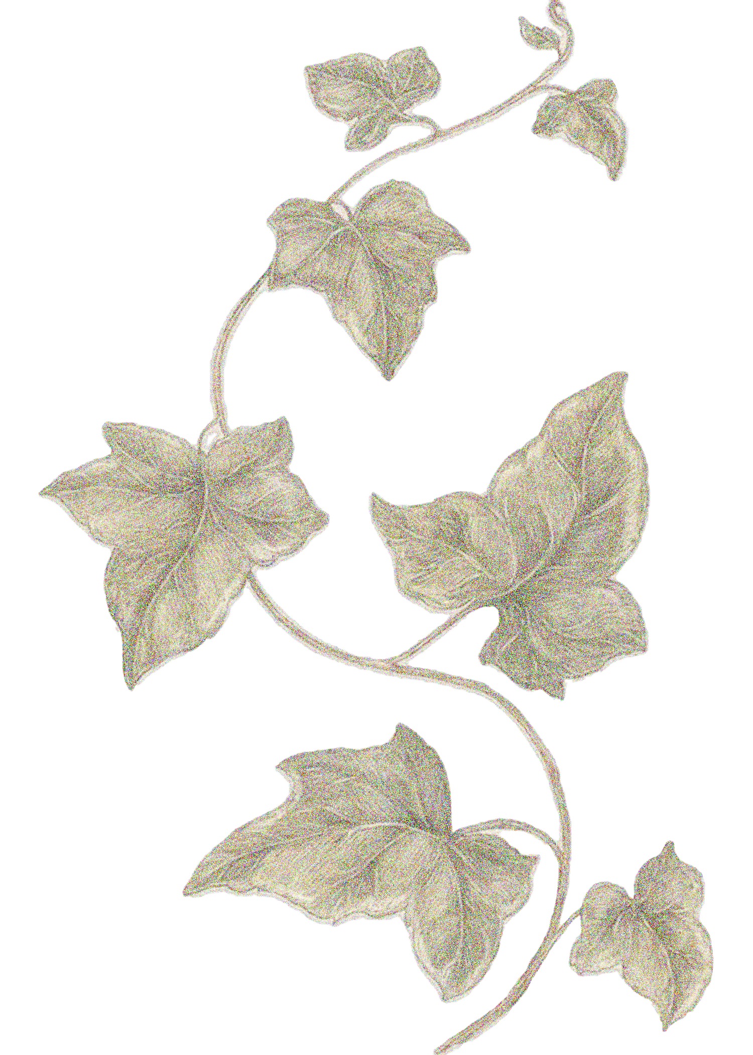 Bottom decoration